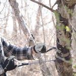 Coghlans Pocket Chainsaw