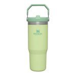 Stanley Ice Flow Flip Straw 0.89L Citron
